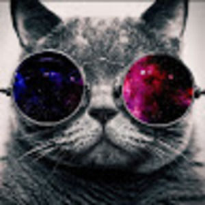 Meet your Posher, Isabelle